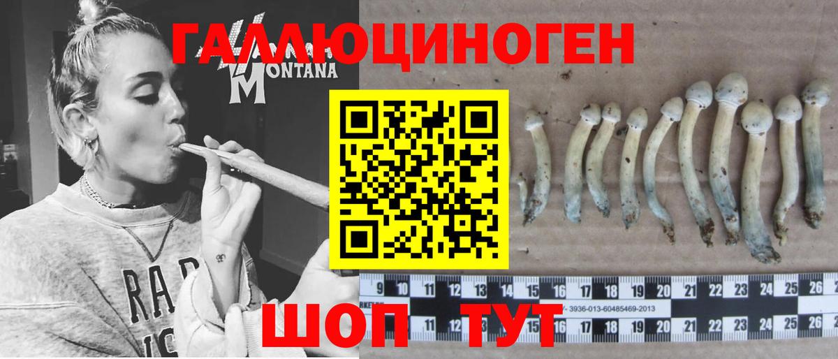 Галлюциногенные грибы ЛСД Кандалакша