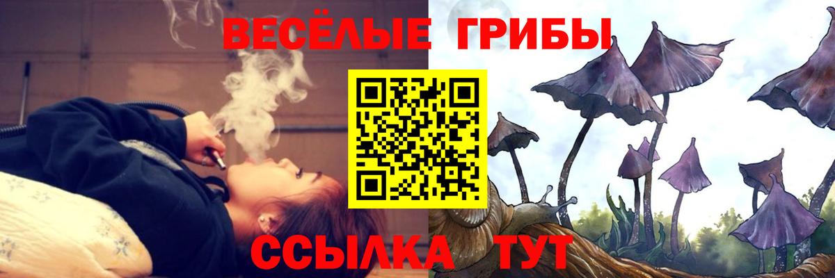 Псилоцибиновые грибы MAGIC MUSHROOMS  Вход с VPN  наркотики  Кандалакша 